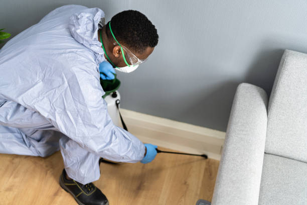 Best Fumigation Services  in Lamont, CA